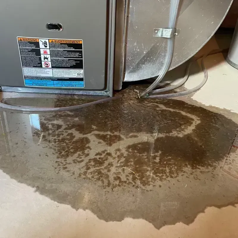 Appliance Leak Cleanup in Farmer City, IL